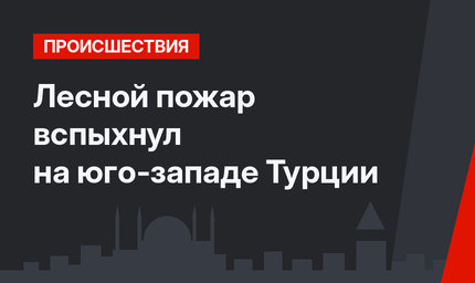 Лесной пожар вспыхнул на юго-западе Турции