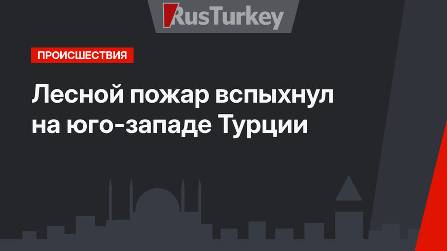 Лесной пожар вспыхнул на юго-западе Турции