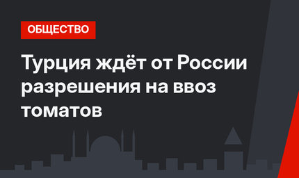 Турция ждёт от России разрешения на ввоз томатов