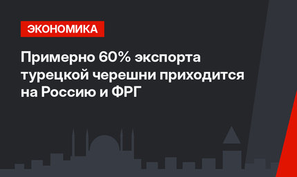 Примерно 60% экспорта турецкой черешни приходится на Россию и ФРГ