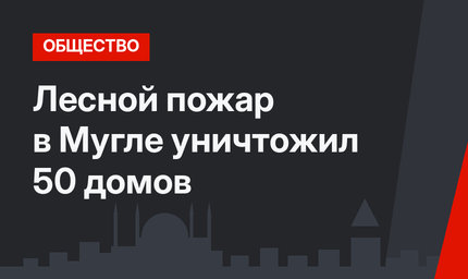 Лесной пожар в Мугле уничтожил 50 домов