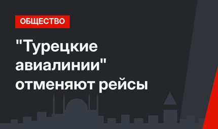 "Турецкие авиалинии" отменяют рейсы