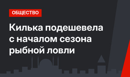 Килька подешевела с началом сезона рыбной ловли