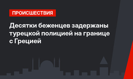 Десятки беженцев задержаны турецкой полицией на границе с Грецией