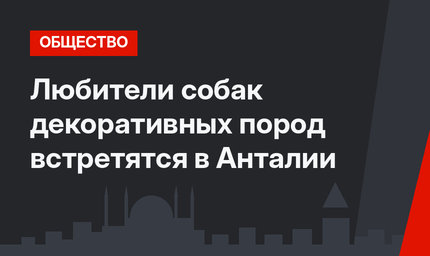 Любители собак декоративных пород встретятся в Анталии