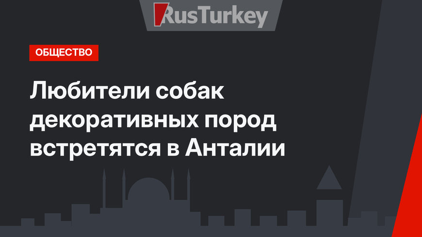 Любители собак декоративных пород встретятся в Анталии