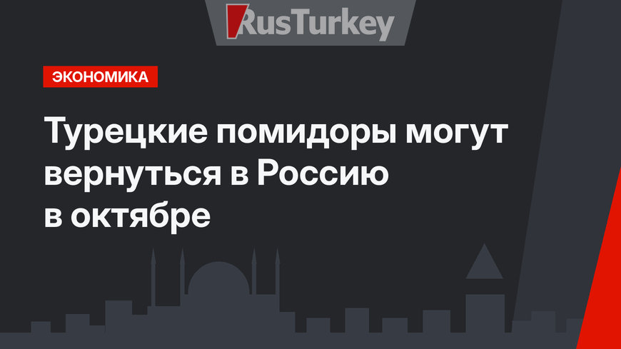 Турецкие помидоры могут вернуться в Россию в октябре