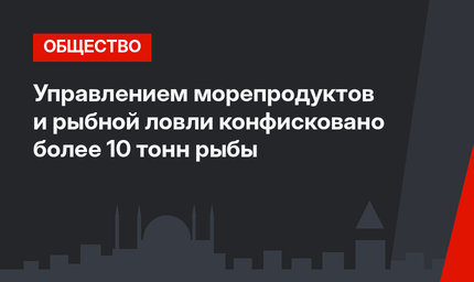 Управлением морепродуктов и рыбной ловли конфисковано более 10 тонн рыбы
