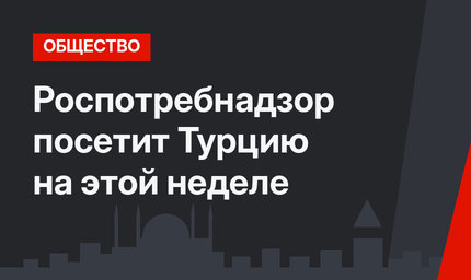 Роспотребнадзор посетит Турцию на этой неделе