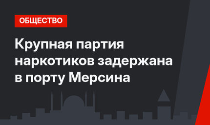 Крупная партия наркотиков задержана в порту Мерсина