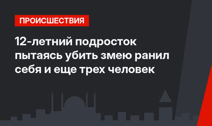 12-летний подросток пытаясь убить змею ранил себя и еще трех человек