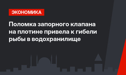 Поломка запорного клапана на плотине привела к гибели рыбы в водохранилище