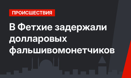 В Фетхие задержали долларовых фальшивомонетчиков