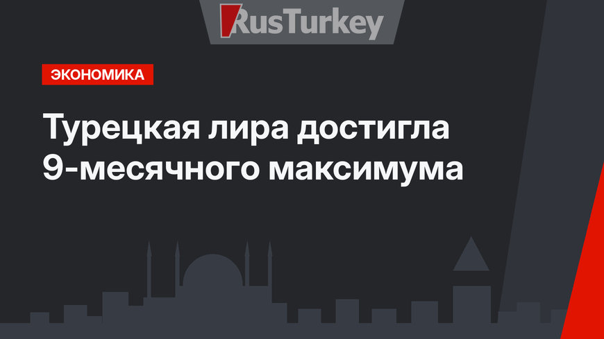 Турецкая лира достигла 9-месячного максимума