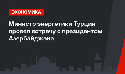 Министр энергетики Турции провел встречу с президентом Азербайджана