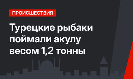 Турецкие рыбаки поймали акулу весом 1,2 тонны