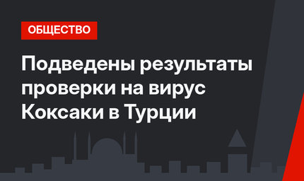 Подведены результаты проверки на вирус Коксаки в Турции