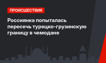 Россиянка попыталась пересечь турецко-грузинскую границу в чемодане