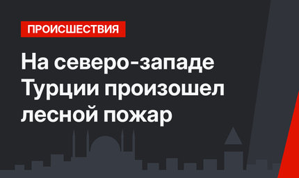  На северо-западе Турции произошел лесной пожар