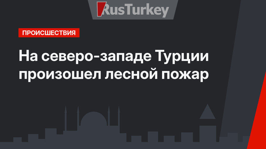  На северо-западе Турции произошел лесной пожар