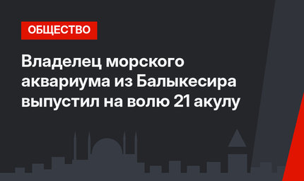 Владелец морского аквариума из Балыкесира выпустил на волю 21 акулу