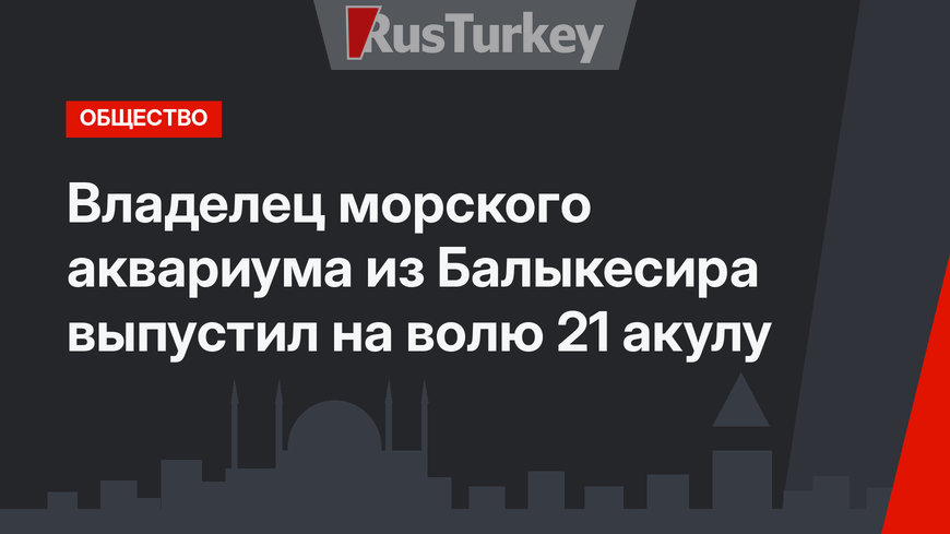 Владелец морского аквариума из Балыкесира выпустил на волю 21 акулу