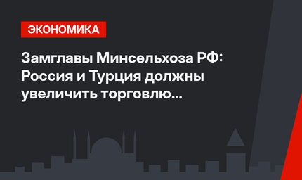 Замглавы Минсельхоза РФ: Россия и Турция должны увеличить торговлю сельхозпродукцией 