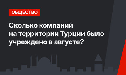 Сколько компаний на территории Турции было учреждено в августе?