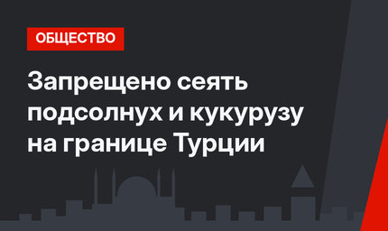 Запрещено сеять подсолнух и кукурузу на границе Турции