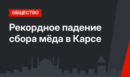 Рекордное падение сбора мёда в Карсе