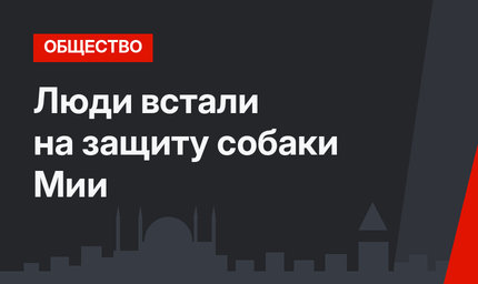 Люди встали на защиту собаки Мии