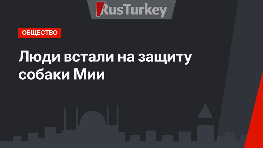 Люди встали на защиту собаки Мии