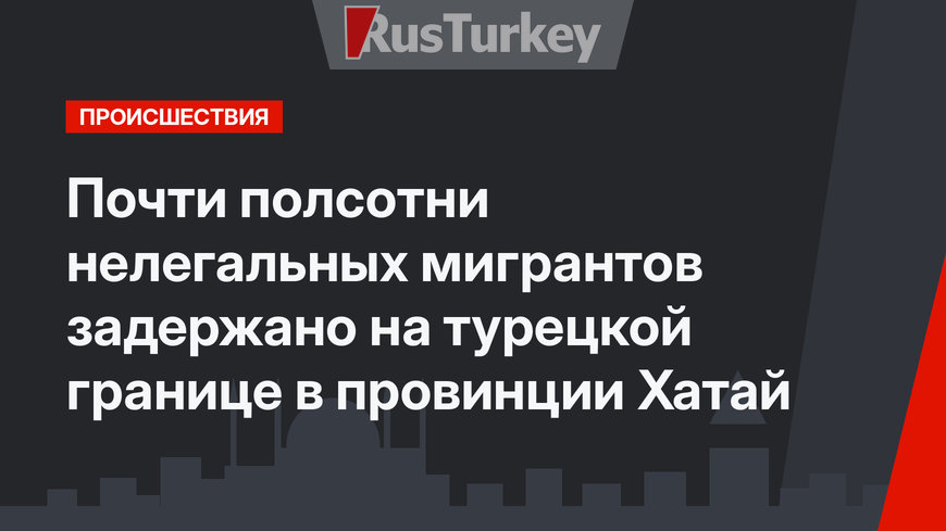 Почти полсотни нелегальных мигрантов задержано на турецкой границе в провинции Хатай