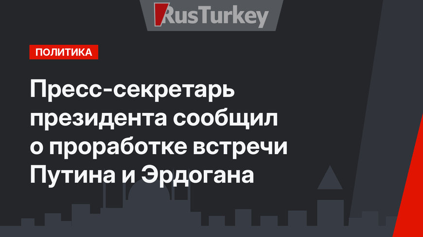 Пресс-секретарь президента сообщил о проработке встречи Путина и Эрдогана