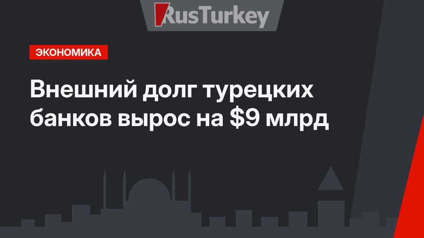 Внешний долг турецких банков вырос на $9 млрд