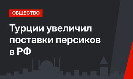 Турции увеличил поставки персиков в РФ
