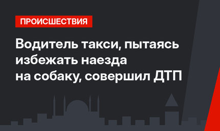 Водитель такси, пытаясь избежать наезда на собаку, совершил ДТП