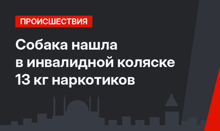 Собака нашла в инвалидной коляске 13 кг наркотиков