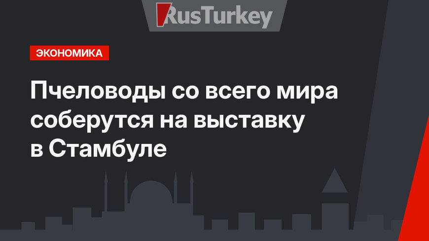 Пчеловоды со всего мира соберутся на выставку в Стамбуле