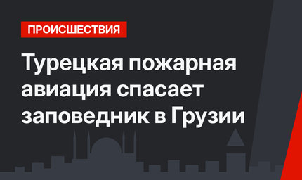 Турецкая пожарная авиация спасает заповедник в Грузии