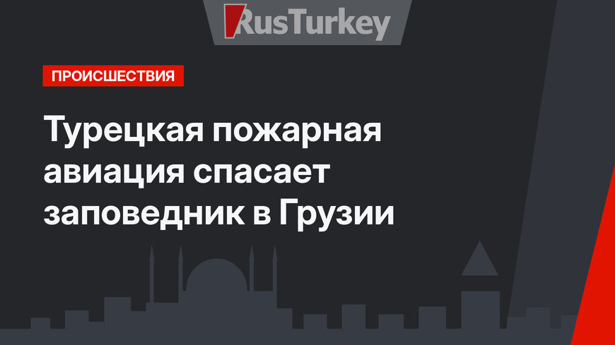 Турецкая пожарная авиация спасает заповедник в Грузии