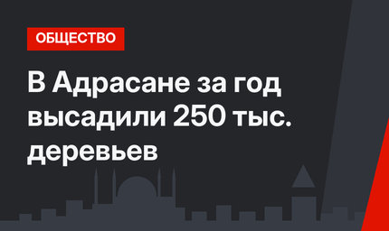 В Адрасане за год высадили 250 тыс. деревьев