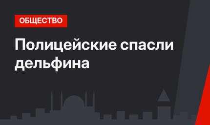 Полицейские спасли дельфина