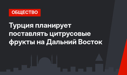 Турция планирует поставлять цитрусовые фрукты на Дальний Восток