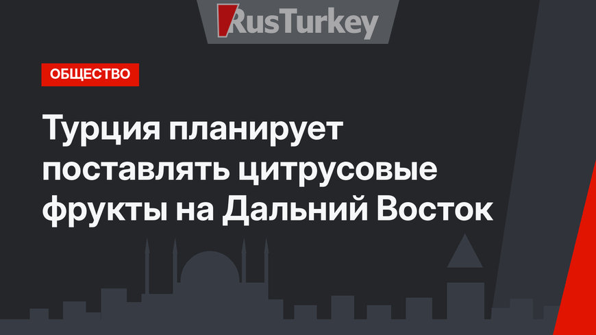 Турция планирует поставлять цитрусовые фрукты на Дальний Восток