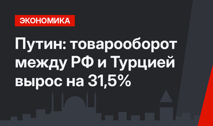 Путин: товарооборот между РФ и Турцией вырос на 31,5%