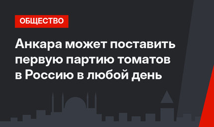 Анкара может поставить первую партию томатов в Россию в любой день