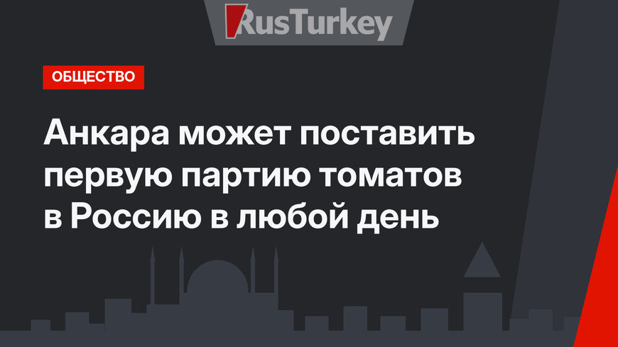 Анкара может поставить первую партию томатов в Россию в любой день