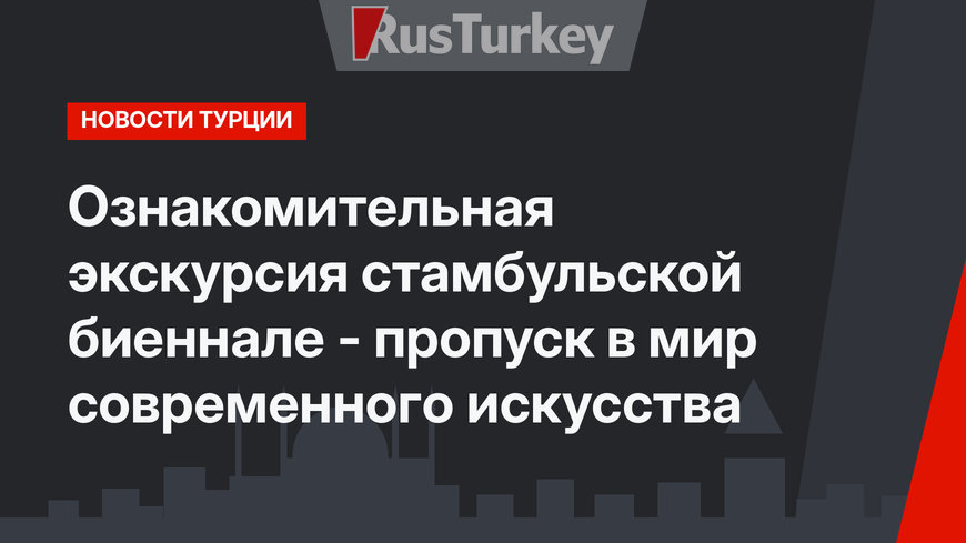 Ознакомительная экскурсия стамбульской биеннале - пропуск в  мир современного искусства