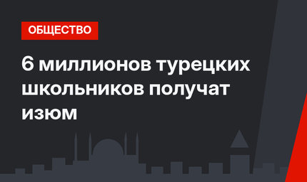 6 миллионов турецких школьников получат изюм